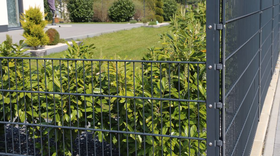 Essential Fence Hardware: Hinges and Drop Rods Made Simple